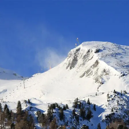 Haus Vinzenz Chalet *
